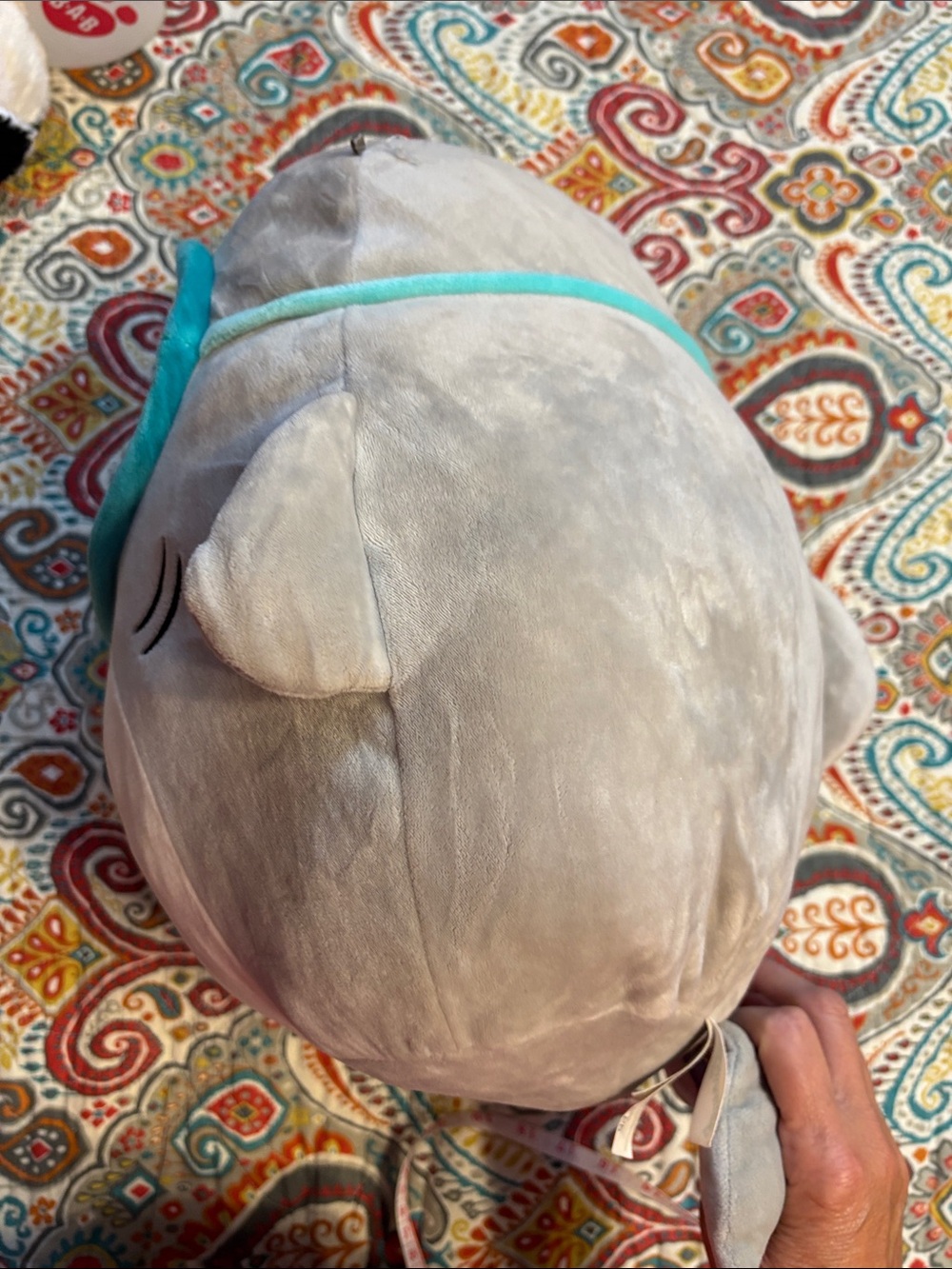 Squishmallow large Gray and Cream Plush Shark Pillow with Teal Trim around mask - Picture 6 of 11